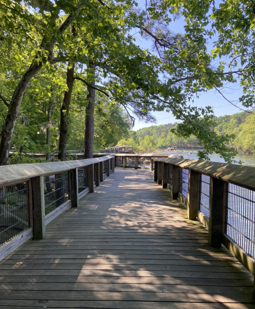 A wooden boardwalk surrounded by lush green trees, leading towards a serene body of water on a sunny day.