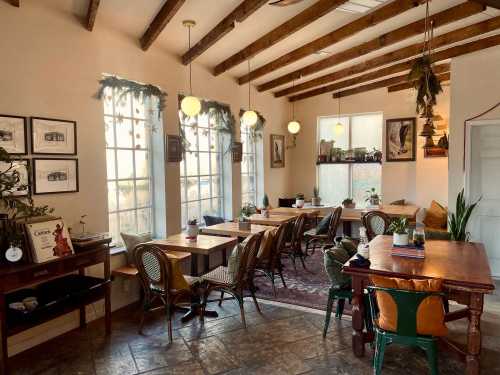 Cozy café interior with wooden beams, tables, plants, and large windows, creating a warm and inviting atmosphere.