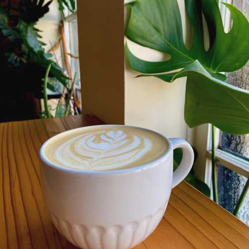 A white coffee cup with latte art sits on a wooden table, next to a large green leaf and a window.