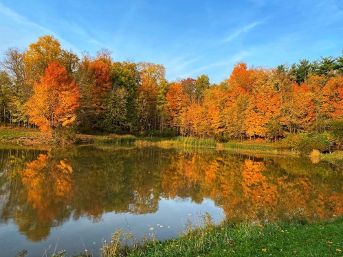 A serene pond surrounded by vibrant autumn trees reflecting in the water under a clear blue sky.