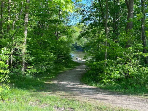 A gravel path leads through lush greenery to a serene lake with a chair visible by the water's edge.