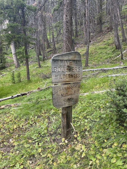 Sign for Hemingway Boulders Wilderness in Sawtooth National Forest, surrounded by trees and greenery.