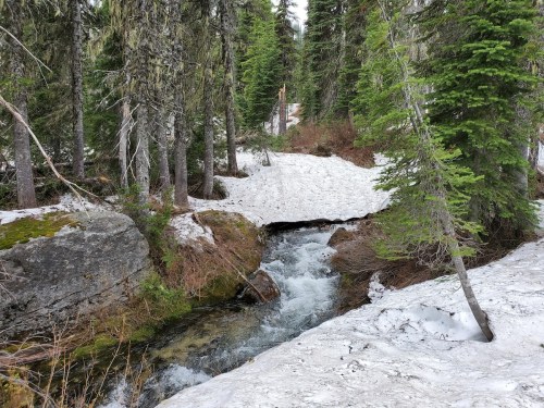 A serene forest scene with a flowing stream, surrounded by snow and evergreen trees.
