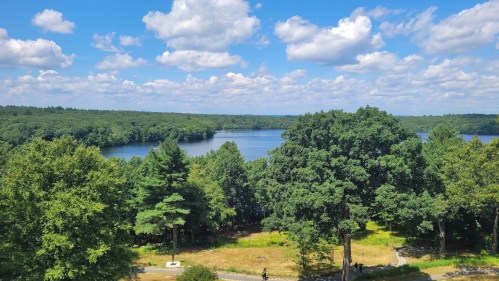 A scenic view of a lake surrounded by lush green trees and a bright blue sky with fluffy clouds.