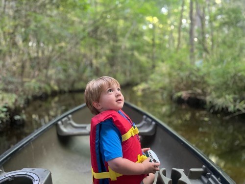 A young boy in a life jacket looks up while sitting in a canoe surrounded by lush greenery.