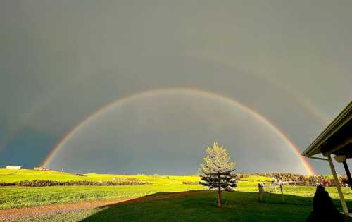 A vibrant double rainbow arcs over a green landscape, with a lone tree and dark clouds in the background.