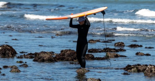 A person in a wetsuit carries a surfboard above their head while walking through shallow water and rocky terrain.