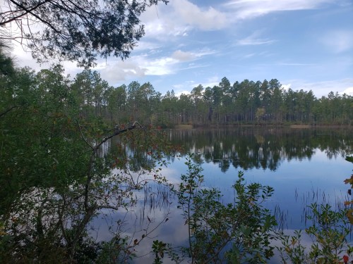 A serene lake surrounded by trees, reflecting the sky and greenery, under a partly cloudy blue sky.