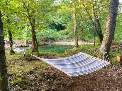 A striped hammock hangs between two trees by a serene, green forested area near a calm body of water.