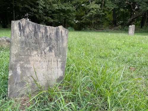 A weathered gravestone in a grassy cemetery, partially obscured by grass and surrounded by trees.