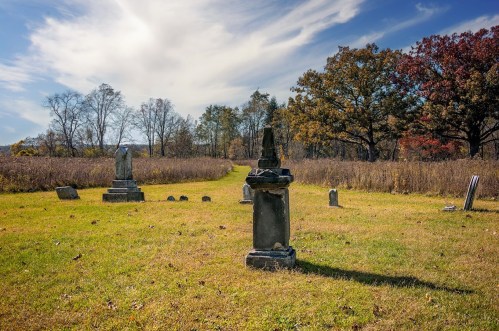 A serene graveyard with weathered tombstones surrounded by tall grass and trees under a blue sky with wispy clouds.
