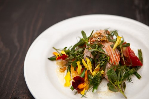 A beautifully plated dish featuring salmon, fresh herbs, edible flowers, and colorful vegetables on a white plate.