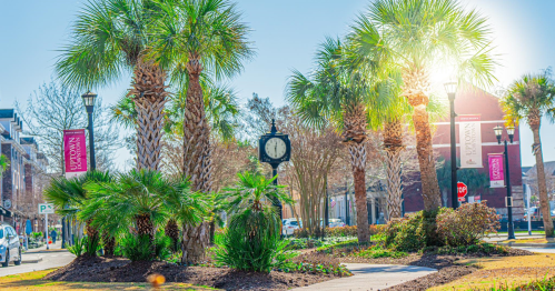 A sunny street scene featuring palm trees, a clock, and banners in a vibrant urban setting.