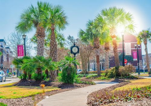 A sunny street scene featuring palm trees, a clock, and colorful banners along a pathway in a vibrant urban area.