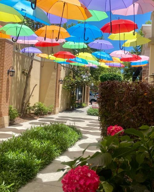 Colorful umbrellas hang overhead in a charming walkway, surrounded by greenery and blooming flowers.