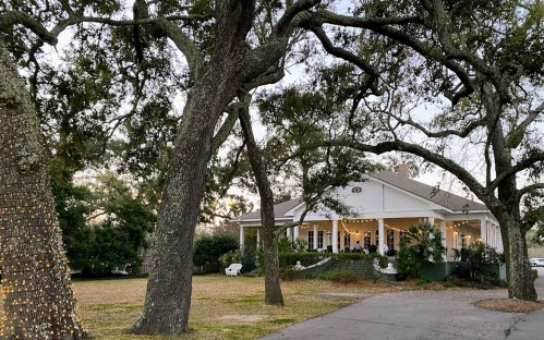 A charming white house surrounded by large trees, with lights adorning the trunks, set in a serene outdoor setting.