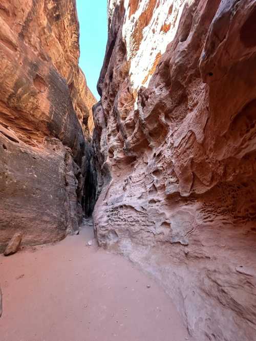 Narrow canyon with textured red rock walls and sandy ground, illuminated by sunlight from above.