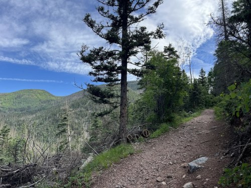 A scenic mountain trail lined with trees, leading through lush greenery under a blue sky with scattered clouds.