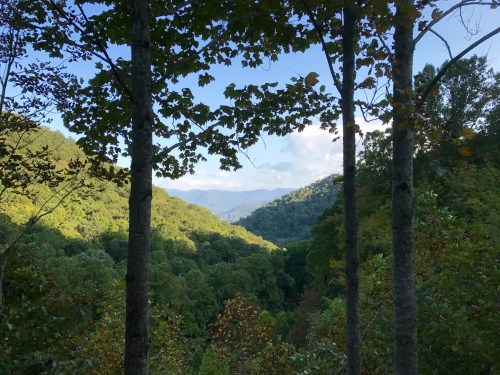 A scenic view of lush green mountains framed by trees under a clear blue sky.