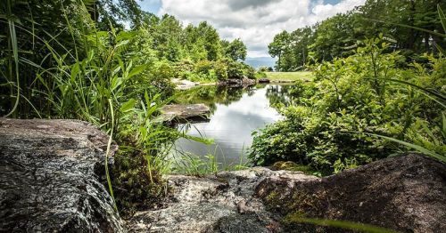 A serene pond surrounded by lush greenery and rocks, under a cloudy sky.