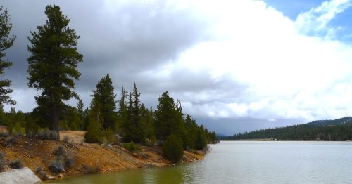Tall pine trees along the rocky bank of Tropic Reservoir under a dramatic cloudy sky in Utah.