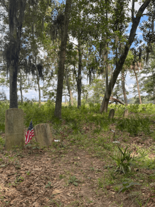 A serene graveyard scene with headstones, surrounded by trees and greenery, featuring a small American flag.