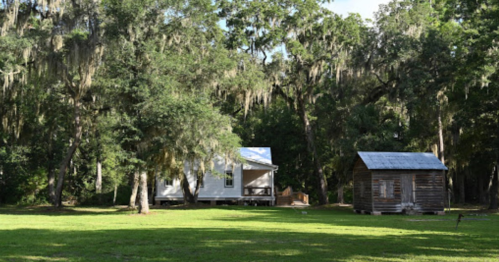 A white house and a small wooden shed surrounded by lush greenery and trees with Spanish moss.
