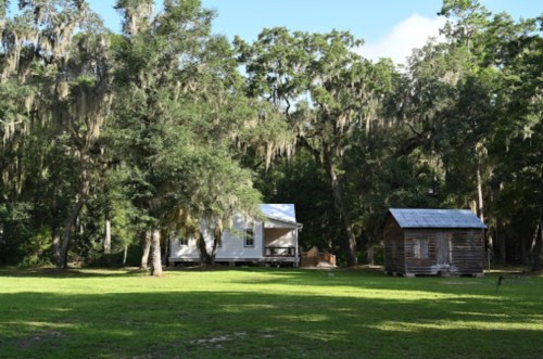 A white house and a small wooden shed surrounded by lush greenery and trees with Spanish moss.