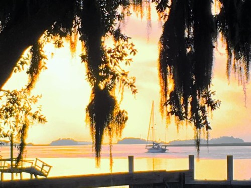 A serene sunset over a calm waterway, with a sailboat in the distance and trees draped in Spanish moss.
