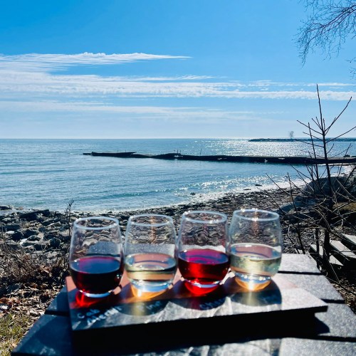 Four glasses of wine sit on a wooden board by the shore, with a serene blue ocean and sky in the background.