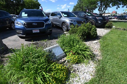 A row of parked cars at a dealership, surrounded by greenery and decorative stones under a clear blue sky.