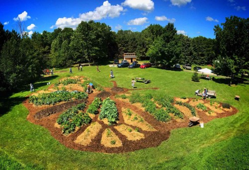 Aerial view of a butterfly-shaped garden with people tending to plants, surrounded by trees and parked cars.