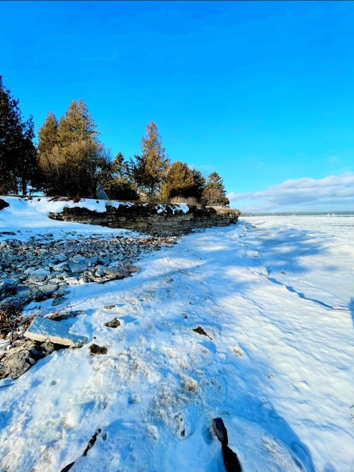 A snowy shoreline with rocky terrain and trees under a clear blue sky.