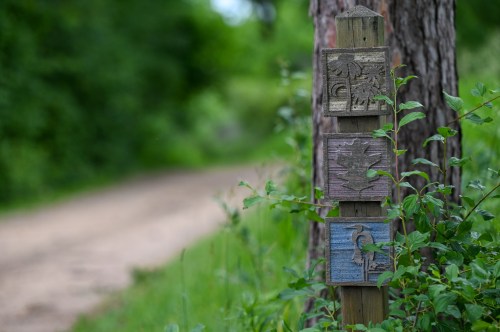 A wooden post with three carved signs, surrounded by greenery, next to a dirt path in a natural setting.