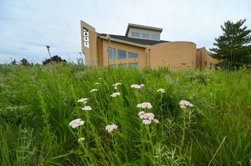 A modern building surrounded by tall grass and wildflowers under a cloudy sky.