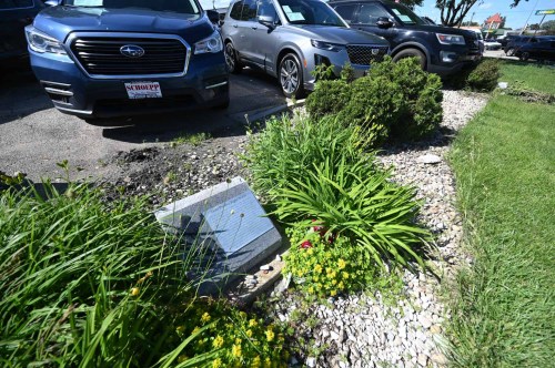 A row of parked cars beside a landscaped area with flowers and rocks.