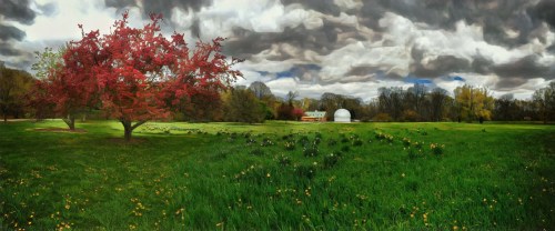 A vibrant red tree stands in a green field dotted with flowers, under a dramatic sky with clouds. A white dome structure is in the distance.