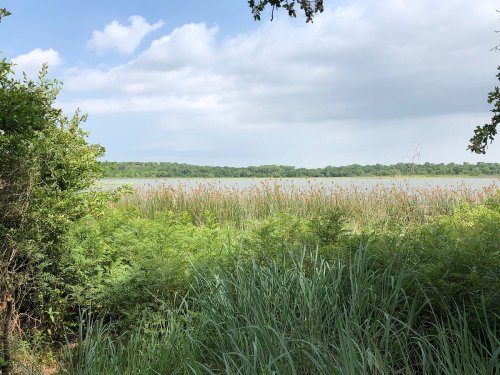 A serene lake view surrounded by tall grasses and lush greenery under a partly cloudy sky.