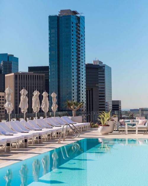 Rooftop pool with lounge chairs and umbrellas, overlooking a city skyline with tall buildings under a clear blue sky.