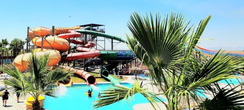 Colorful water slides next to a pool, surrounded by palm trees and people enjoying the sunny day.