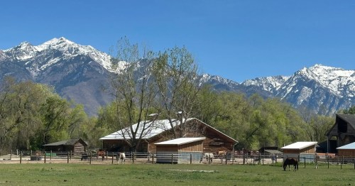 view of the wheeler historic farm with animals grazing and snow-capped mountains in the background in salt lake city utah