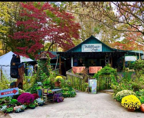 Charming café entrance surrounded by colorful flowers and autumn foliage, with a welcoming sign and rustic decor.