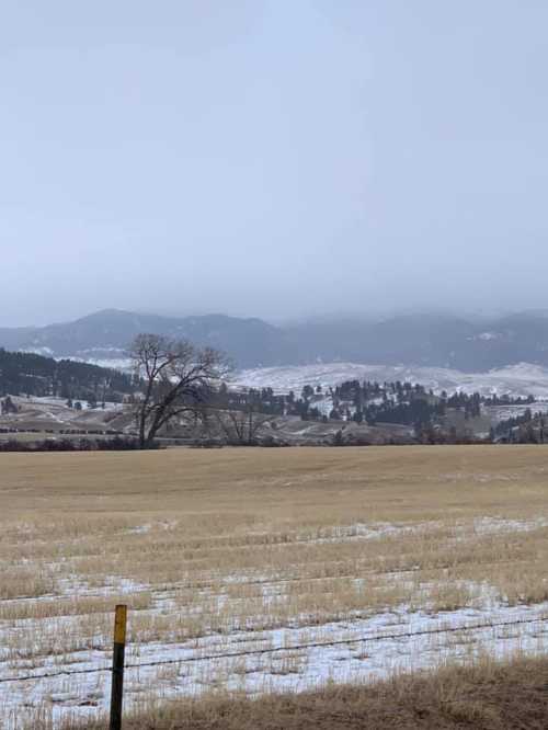 A misty landscape featuring rolling hills, a lone tree, and a field with patches of snow under a gray sky.