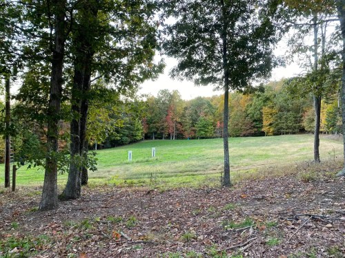 A serene landscape featuring a grassy field surrounded by trees with autumn foliage.