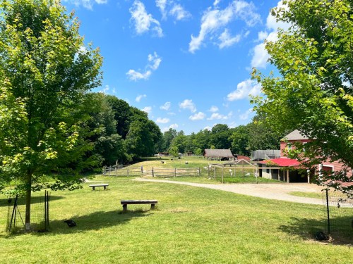 A sunny farm scene with green grass, trees, and a red barn, featuring a blue sky with fluffy clouds in the background.