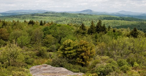 A panoramic view of lush green mountains and forests under a cloudy sky.