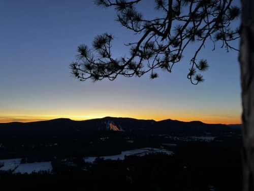 Silhouette of pine branches against a sunset over mountains and a valley, with a clear sky transitioning to twilight.