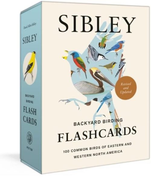 Box of Sibley Backyard Birding Flashcards featuring illustrations of various birds, titled "100 Common Birds of Eastern and Western North America."