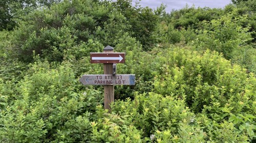 Wooden signpost with arrows pointing to "RTE 3" and "Parking Lot," surrounded by lush green foliage.