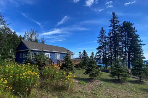 A blue house surrounded by green trees and yellow flowers, with a clear blue sky in the background.